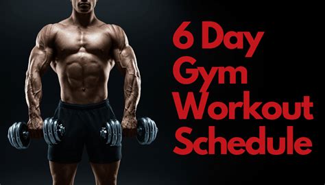 6 Day Gym Workout Schedule — Full Guide Olympic Muscle