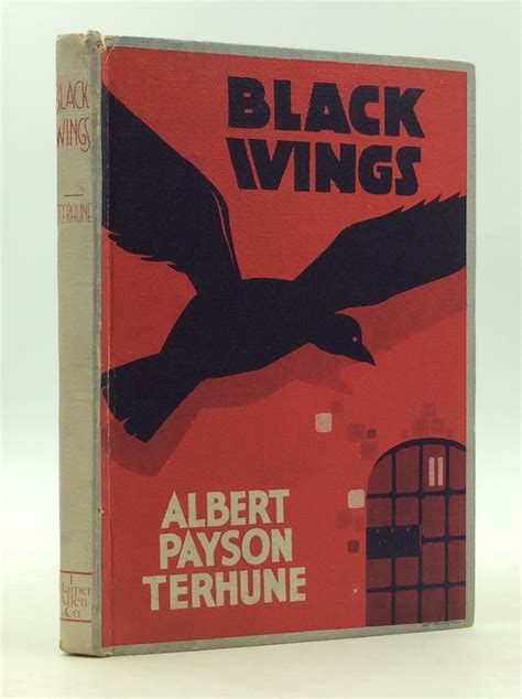 Black Wings By Albert Payson Terhune Hardcover 1928 First Edition