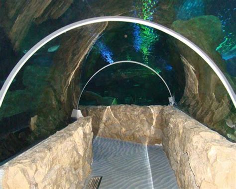 Acrylic Tunnel Fish Tank Aquarium Tunnel View Acrylic Tunnel Fish Tank