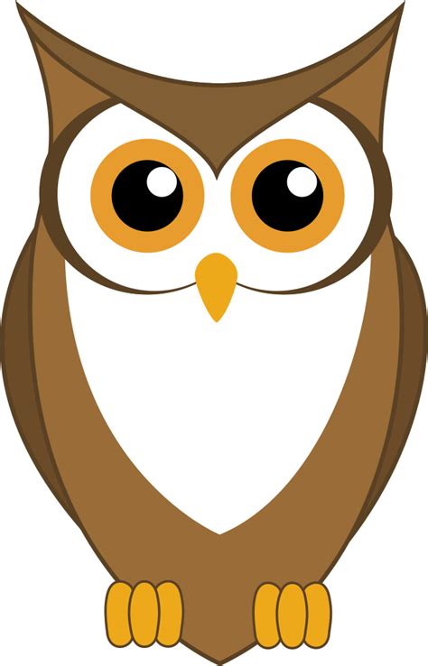 Owl Pixabay Owl Teacher Vectors Cartoon Funny