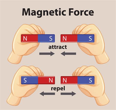 Magnetic Force Show Magnetic Attraction And Repulsion For Kids Physics