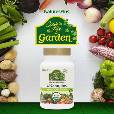 naturesplus source of life garden organic b complex 60 vegan capsules