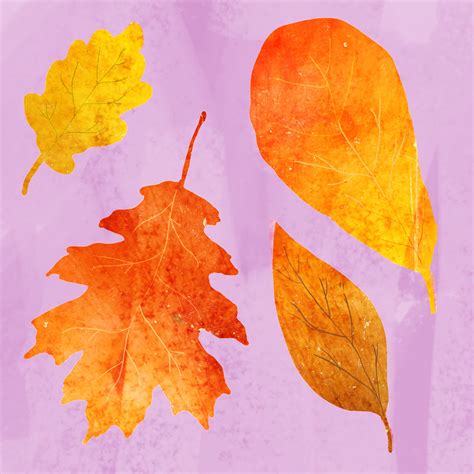 Autumn Illustrations On Behance