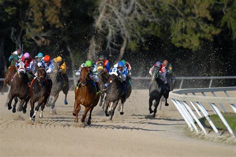 Las carreras de caballo regresan a México - Las Destacadas - xeu Noticias