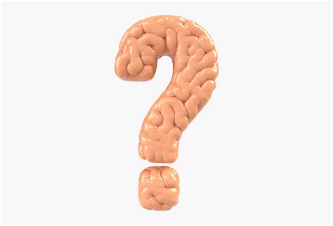 Question Mark Brain Clipart Question Image With Brain Free
