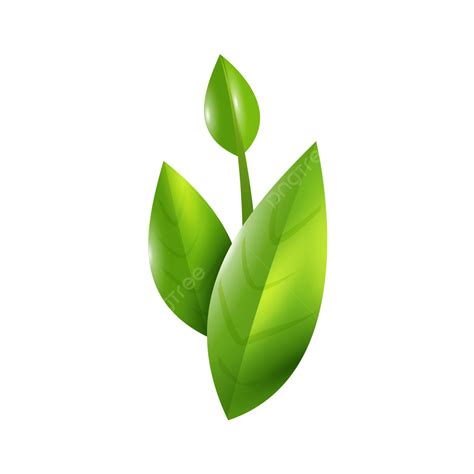 綠葉植物 葉子樹葉 綠植植物綠色 植物向量圖案素材免費下載，png，eps和ai素材下載 Pngtree