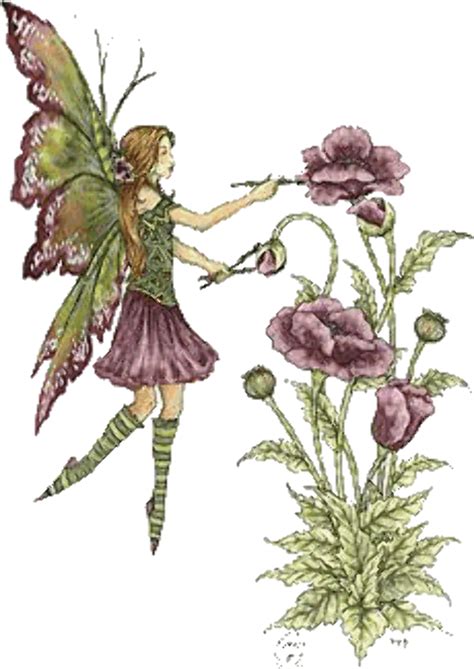Download High Quality Fairy Clipart Flower Transparent Png Images Art