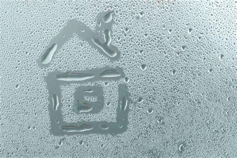 De hoeveelheid vocht in huis is afhankelijk van het weer en de mate waarin je ventileert. 10 tips om de luchtvochtigheid in huis te verbeteren ...