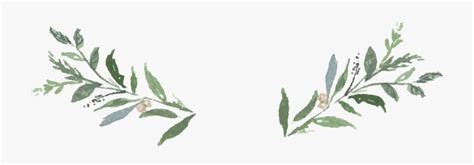 Watercolor Greenery Svg - 917+ Best Free SVG File - Free Cut SVG Images