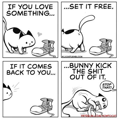 Daily Struggles And Life With A Cat 30 Funny Comics By “how To Cat” New Pics Cat Comics