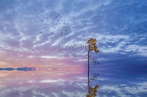 Lonely Tree Picture And Hd Photos Free Download On Lovepik