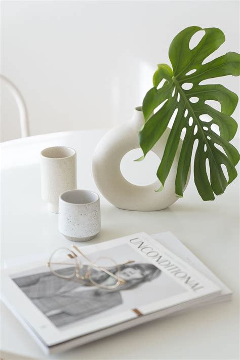 Lush and verdant, it makes a bold statement displayed alone and adds drama to a simple arrangement. Donut vase in 2020 | Dining room updates, Monstera leaf, Vase