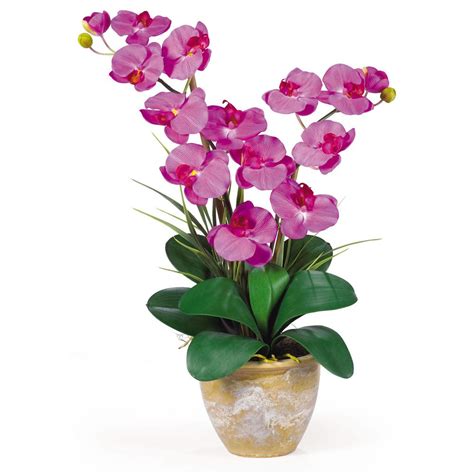 Nearly Natural 25 In Double Phalaenopsis Silk Orchid Flower
