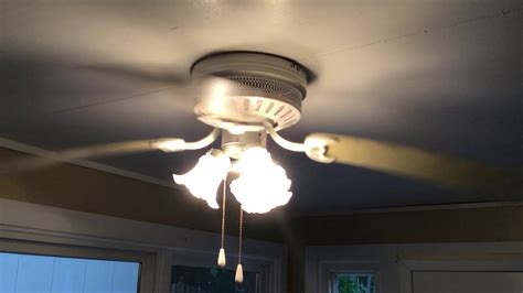 Ceiling Fans In My House 2 Youtube