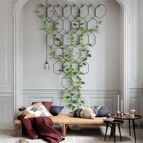 30 imágenes clave de decoración con plantas de interior y qué hacer para acertar siempre. Plantas enredaderas y trepadoras de interior. Plantas en interiores 2020.