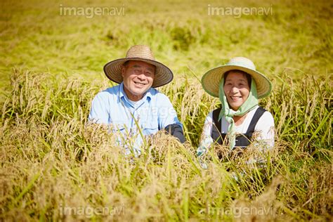 【稲田と農家の夫婦】の画像素材 17308774 写真素材ならイメージナビ