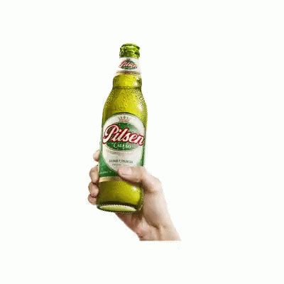 Cheers Beer Sticker Cheers Beer Friendship Discover Share Gifs
