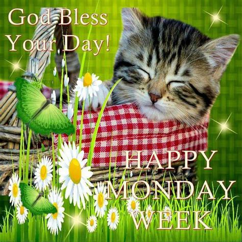 God Bless Your Day Happy Monday Week Pictures Photos And Images For