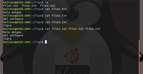 Ubuntu Linux Comando Cat En Linux
