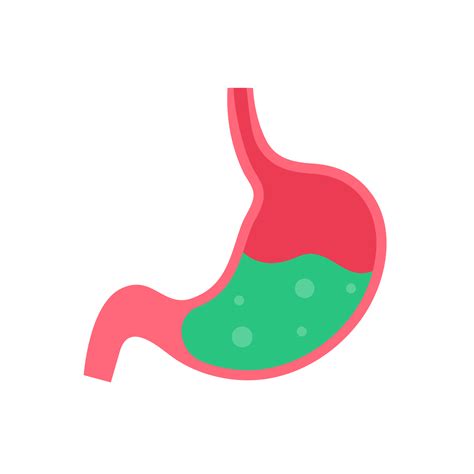 Stomach Icon The Stomach Contains Gastric Juice To Aid Digestion And