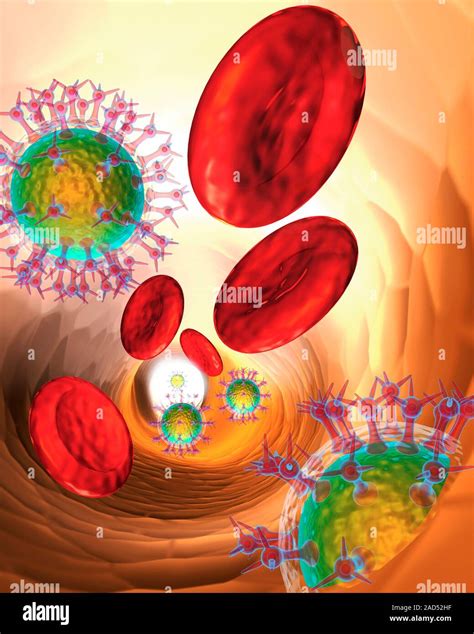 Red Blood Cells And Viruses Illustration Of Red Blood Cells Red And