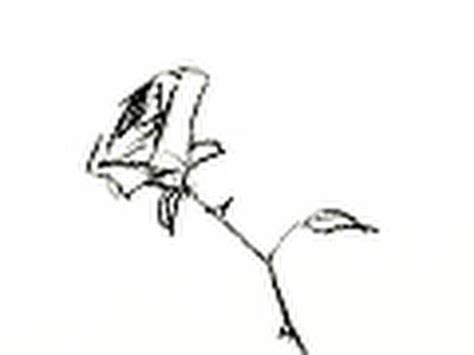 Ver más ideas sobre tutorial de arte, dibujo paso a paso, como dibujar flores. Como dibujar una rosa facil en 30 segundos - Rose drawing - YouTube