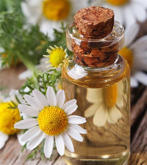 15 increíbles beneficios del aceite de manzanilla para la piel la salud y el cabello