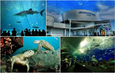 Housing up to 4000 land and aquatic creatures, malaysia's largest oceanarium offers individuals from all ages the opportunity to hang out with over 500 species of animals while learning about the importance of conserving precious natural habitats. PANDUAN LENGKAP Senarai Terbaik Tempat Menarik di Langkawi