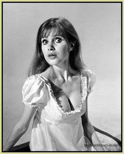 the madeline smith gallery maid in england part one madeline smith beauty smith