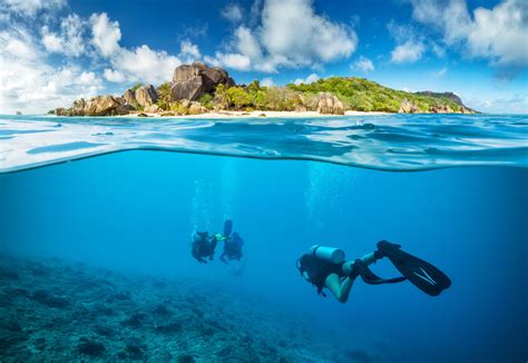 Landscape Scuba Underwater Coral Wetsuit Blurred