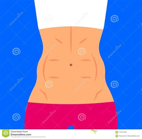 Athletic Female Torso Stock Vector Illustration Of Fitness 112311854