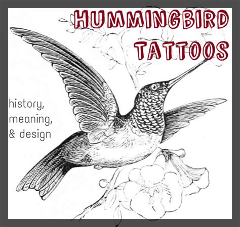 Hummingbird Tattoos Meanings Designs History And Photos Tatring