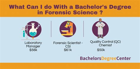 What Can I Do With A Crime Scene Investigation Degree Bachelors