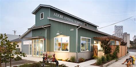 A Practical Guide To Veterinary Hospital Design Animal Hospital