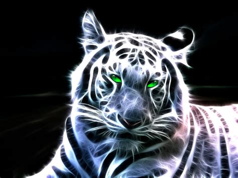 Abstract Tiger Wallpapers Top Free Abstract Tiger Backgrounds
