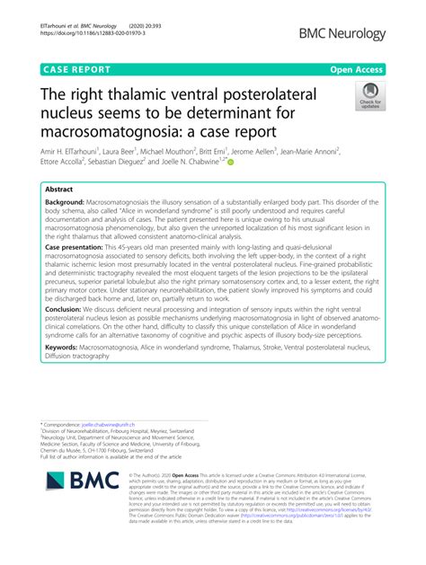 Pdf The Right Thalamic Ventral Posterolateral Nucleus Seems To Be