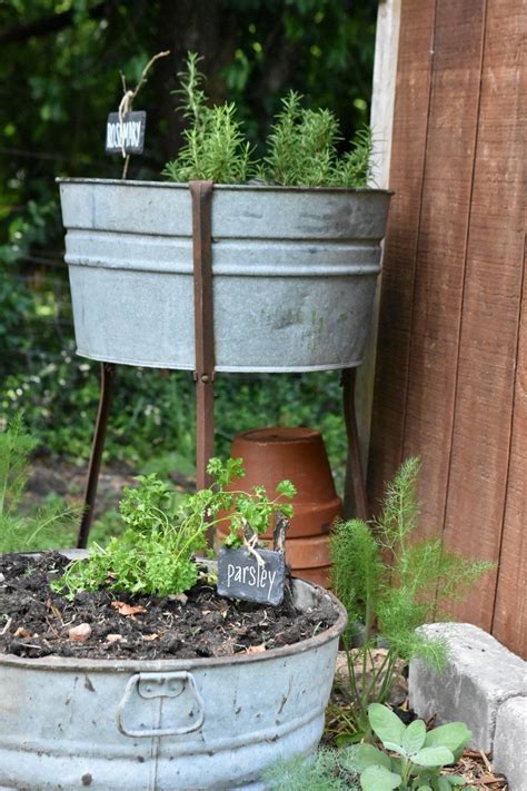 How To Plant In Garden Tub Planters Bucket Planters Bucket Gardening