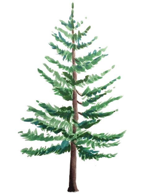 How To Draw Trees With Copic Markers Video Pine Tree Painting Tree
