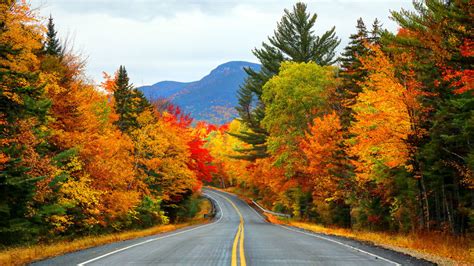 The Best Fall Foliage In Every State Tempo