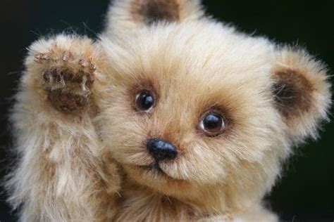 Hand Made Ooak Original Mohair Grizzly Cub Teddy By Kimbearlys 69500