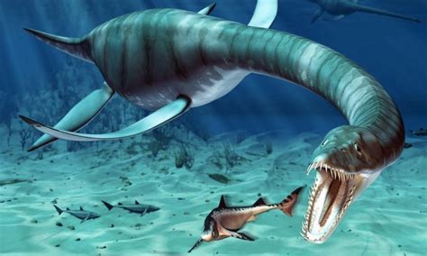 12 Incredible Prehistoric Sea Creatures Surfs Up Magazine
