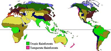 If you ever wanted to know the names of all rainforests, this. Region