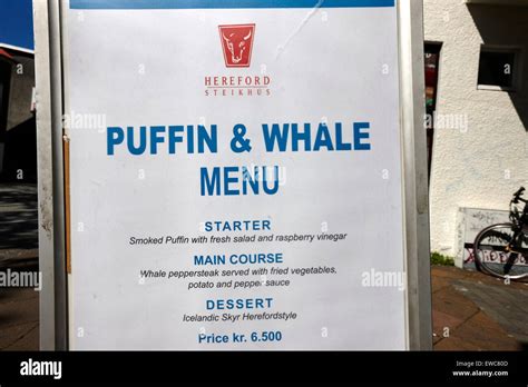 Puffin And Whale Menu At A Restaurant Reykjavik Iceland Stock Photo Alamy