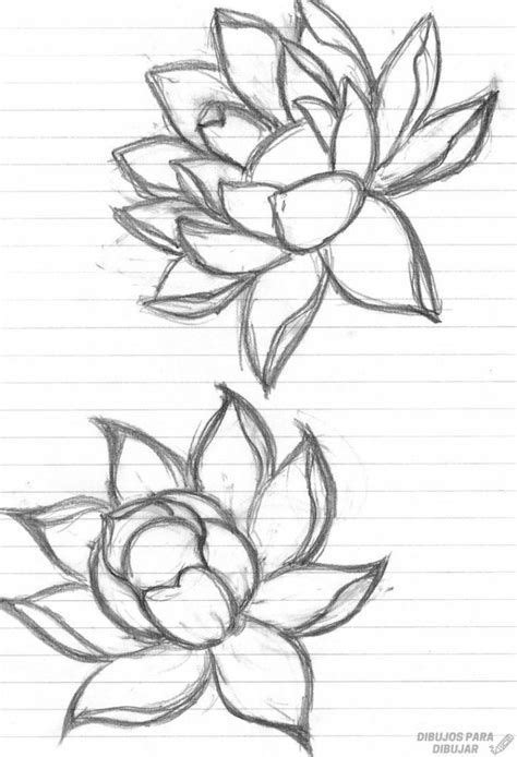 two pencil drawings of flowers on lined paper