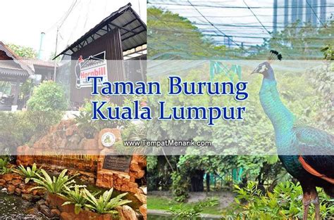 Detailed information for tourists about kuala lumpur bird park (taman burung kuala lumpur)) in kuala lumpur, and maps, reviews of tourist attractions, and photos. Taman Burung Kuala Lumpur di Taman Tasik Perdana