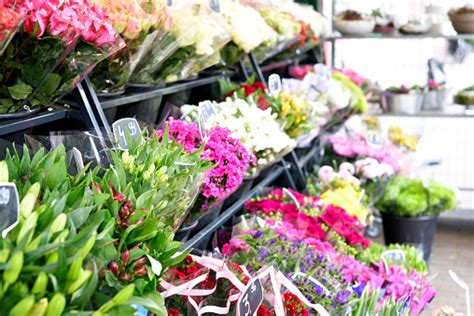 Outdoor Flower Market Stock Photo Download Image Now 2015