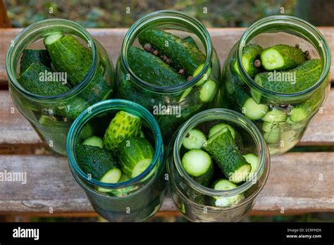 The Process Of Canning Pickled Gherkins Pickles Cucumbers In Glass