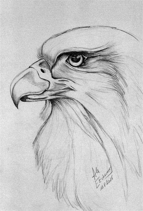 37 Best Dibujos A Lapiz Images On Pinterest To Draw Drawing Ideas