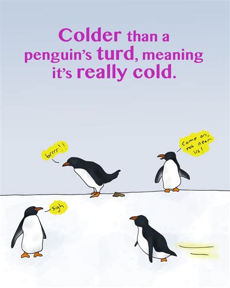 Top 24 Colder Than Sayings And Jokes Quotes And Humor