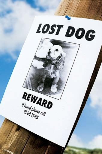 Report a Lost Pet | Cheboygan County Humane Society
